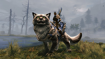 Guild Wars 2: Janthir Wilds, video game, Guild Wars 2: Janthir Wilds HD wallpaper