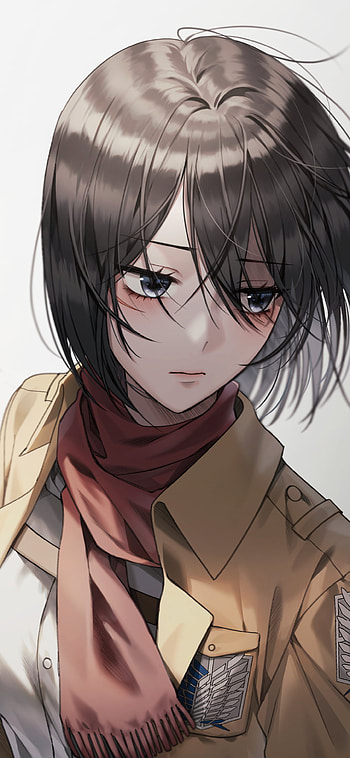 Mikasa Ackerman | Stunning Attack on Titan Anime , Mikasa Ackerman, Anime, Attack on Titan HD phone wallpaper