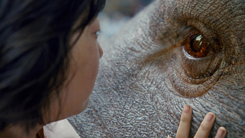 Okja (2022) movie HD wallpaper