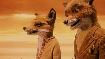 The Foxes, Fantastic Mr. Fox HD wallpaper