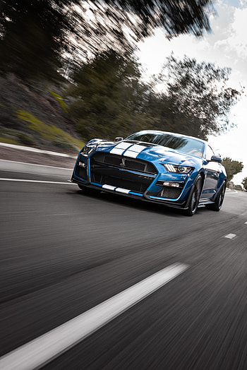 Sports, Cars, Road, Car, Sports Car, Speed, Shelby, Shelby Gt500 HD phone wallpaper