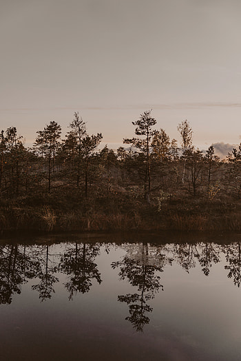 Landscape, Nature, Rivers, Trees, Reflection, Shore, Bank HD phone wallpaper