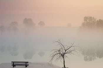Nature, Lake, Shore, Bank, Fog, Bench HD wallpaper