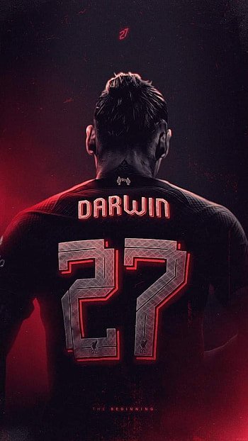 Darwin Nunez, Liverpool, darwinnunez HD phone wallpaper
