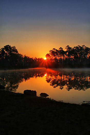 Nature, Trees, Sunset, Lake, Rays, Beams, Florida HD phone wallpaper