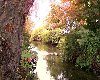 River, nature, rivers HD wallpaper