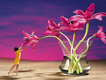 We are a small part of nature, pink, abstract, vase, flowers, small, over size, water, woman HD wallpaper