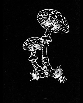 Mushrooms, art, white, black, mushroom HD phone wallpaper