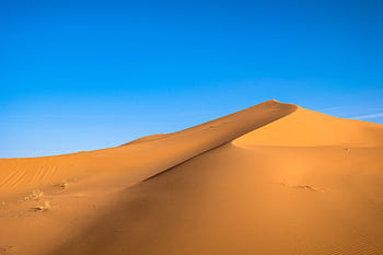 A breathtaking view of golden sand dunes contrasted against a vibrant blue sky in a desert landscape. HD wallpaper