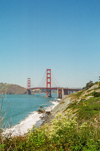 Nature, Sea, Architecture, Bush, Rocks, Bridge HD phone wallpaper