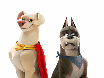 DC League of Super-Pets, Animated adventure, Superhero pets, Exciting action HD wallpaper