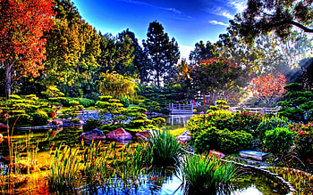 Spring Japanese Garden Design Awesome 36205 HD wallpaper