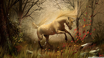 fairy dragon with high resolution on other category similar with beautiful animated fairies HD wallpaper