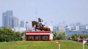 Lame horse, Olympic course, Well-being concern, Equestrian tragedy HD wallpaper