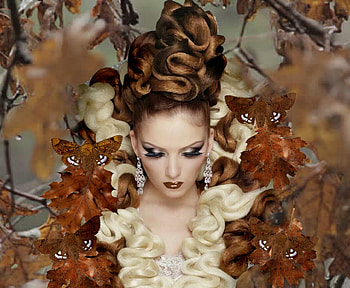 Brown Autumn, black, colors, beauty, brown, autumn, female, stunning, breathtaking, gorgeous, girl, beautiful, woman, moths, leaves, pretty, women, lovely HD wallpaper