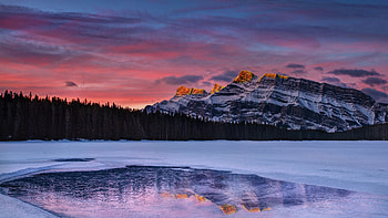 Golden Sunrise At Two Jack Lake With Alpenglow, golden, sunrise, lake, mountains, mountain, sunset, tree, snow, nature HD wallpaper