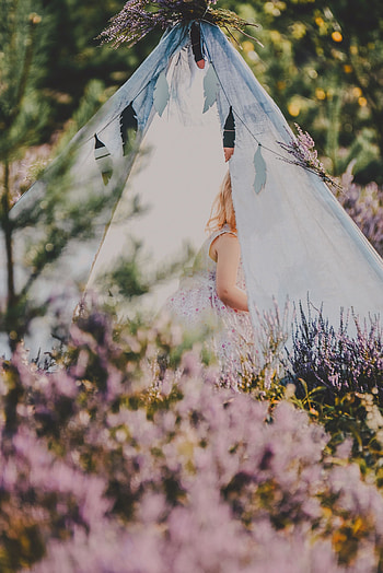 Nature, Flowers, Miscellanea, Miscellaneous, Child, Tent, Lavender HD phone wallpaper