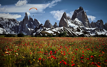 Landscape, field of flowers, clouds, sky, nature, flowers, skydiving, mountains, splendor HD wallpaper