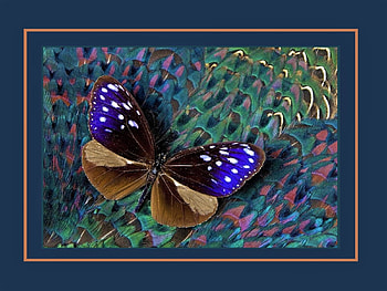 Butterfly art, blue, art, insects, butterflies, brown, animals, green, cool, shades HD wallpaper