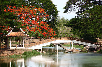 Nature, Bridge, Japan, Bower, Alcove, Snag HD wallpaper