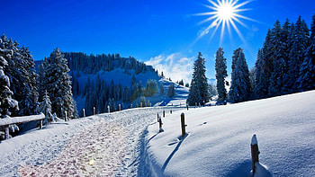 Park Road in Winter, sky, sun, snow, landscape, trees, forest HD wallpaper