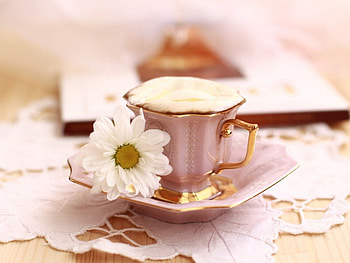 FRIVOLOUS FROTHY FRIENDSHIP, cups, coffee, tableware, cappuccino, flowers, china, daisies HD wallpaper