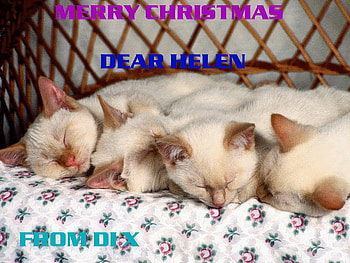 FOR HELEN, cats, pretty, love, kittens HD wallpaper