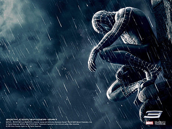 Spiderman 3 HD wallpaper