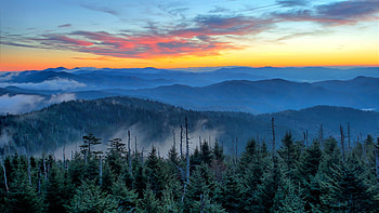 Great Smoky Mountains National Park, Yellowstone and Grand Teton National Parks, Immediate closure, Travel news HD wallpaper