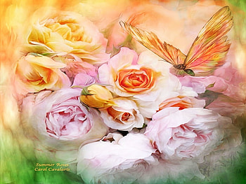 Summer Roses, summer, roses, butterfly, petals, floral, nature, flowers HD wallpaper