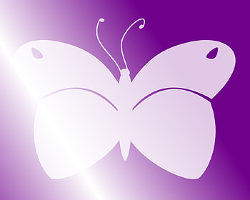 Butterfly - Purple, purple, white, simple, shade, butterfly HD wallpaper