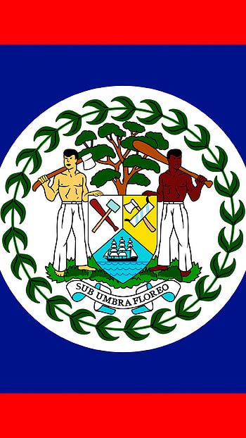 Belize flag art, , National pride, Patriotic symbol HD phone wallpaper