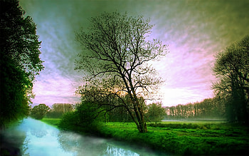Landscape, Rivers, Trees HD wallpaper