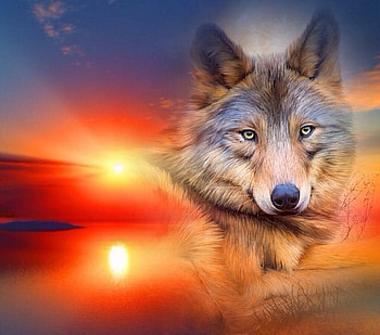 Sunset, Puppydawg, Lamamake, Guardian2000, Talislanta, Carmenmbonilla HD wallpaper