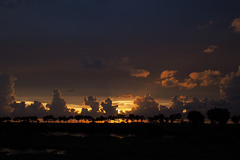 Nature, Trees, Sunset, Sky, Night, Clouds, Horizon, Dark HD wallpaper