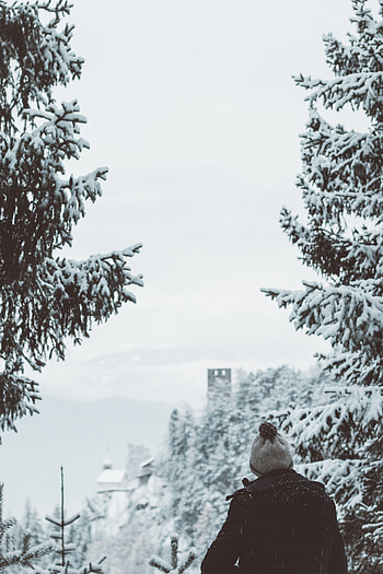 Winter, Miscellanea, Miscellaneous, Forest, Fog, Stroll, Human, Person HD phone wallpaper