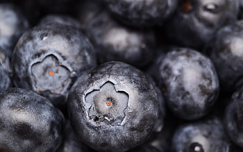 Macro blueberries, Berrylicious , Nature's candy, Burst of flavor HD wallpaper
