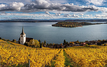 Autumn in Switzerland, vineyard, clouds, church, lake, Switzerland HD wallpaper