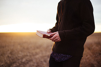 Miscellanea, Miscellaneous, Field, Human, Person, Book, Sunlight HD wallpaper
