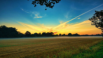 Morning Sunrise, germany, landscape, trees, colors, sky HD wallpaper