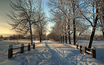 Landscape, Winter, Snow HD wallpaper