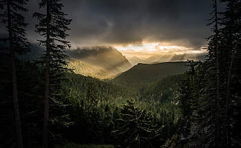 Mountains, Nature, Rays, Beams, Forest, Fog HD wallpaper