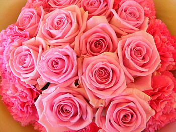 Romantic Bouquet, CARNATION, PRETTY, PASTE, ENTERTAINMENT, FRESH, SWEET, LOVE, BOUQUET, ROSES, FOREVER, SPECIAL, FASHION, PINK HD wallpaper