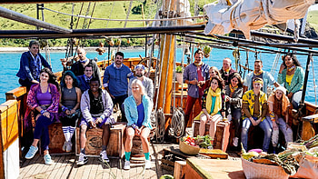 Survivor TV Series, 2000 backdrops, The Movie Database, Tmdb HD wallpaper
