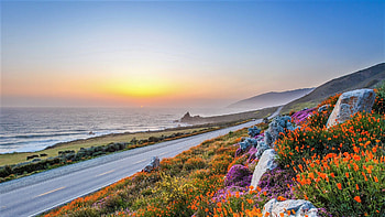 Road in Big Sur, California dreamscape, Scenic route, Nature's pathway HD wallpaper