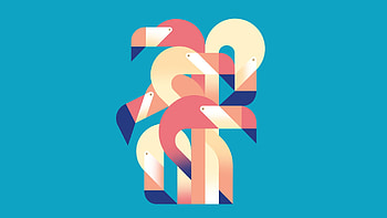Flamingos Minimalism, flamingos, birds, artist, minimalism HD wallpaper