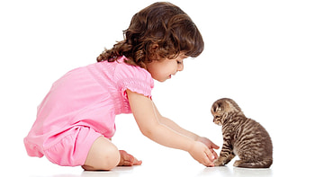 Cuties, kitten, sweet, animal, white, cute, girl, cat, copil, pink, child HD wallpaper