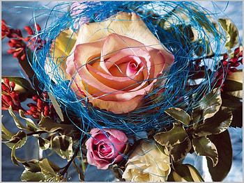 Plants, Flowers, Roses, Bouquets HD wallpaper