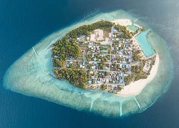 Maldives, island, land, beach HD wallpaper