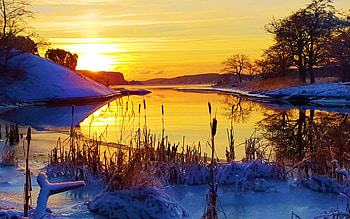 Sweden, Saltkaellefjorden, winter, scandinavia, snow, colors, sky, water, reflections, sunset, trees HD wallpaper